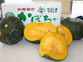 かぼちゃ(かごしまブランド)