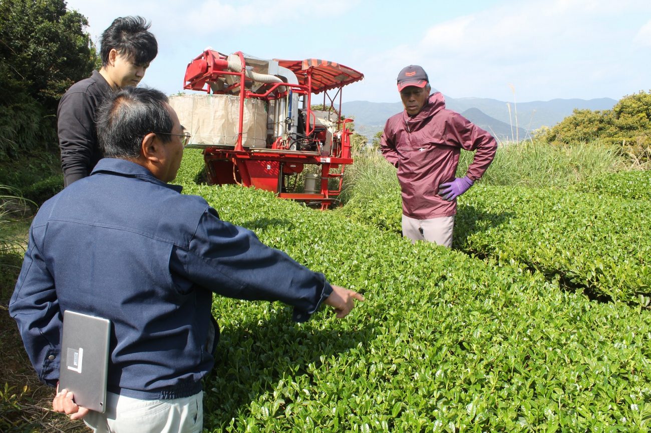 農産・茶業部門 | 南さつま農業協同組合